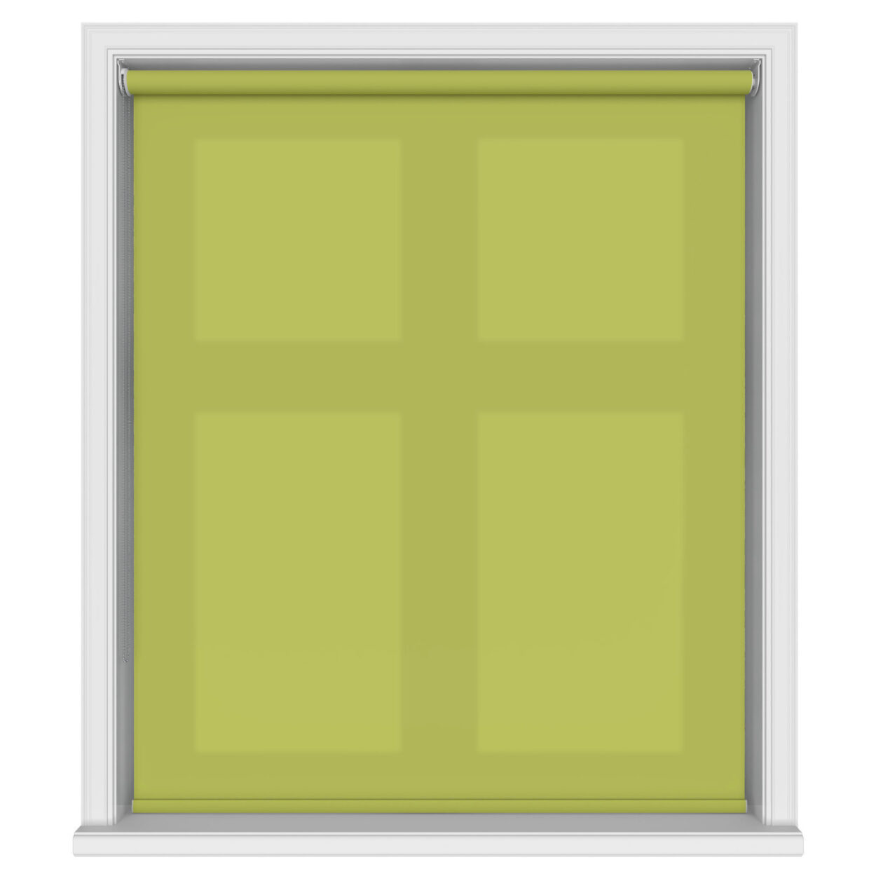 Splash Vine - Image 3