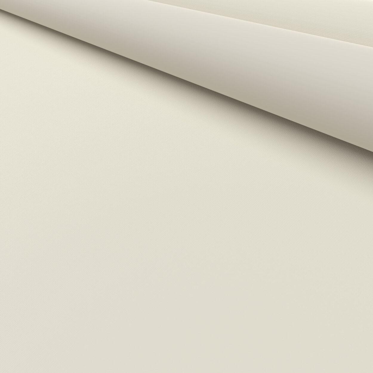 Stirlo Oyster Cream - Image 6