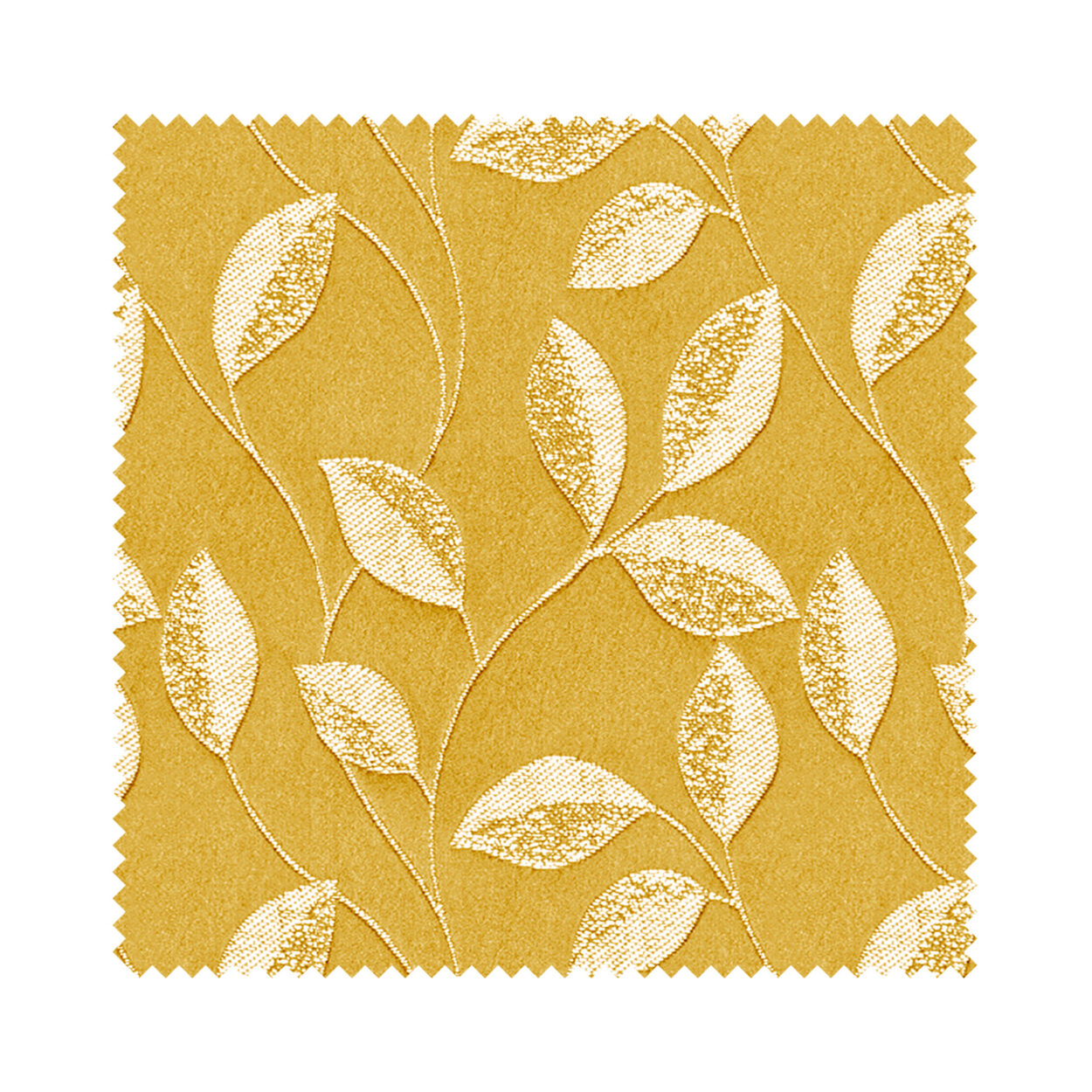 Stubbs Sunflower - Image 5