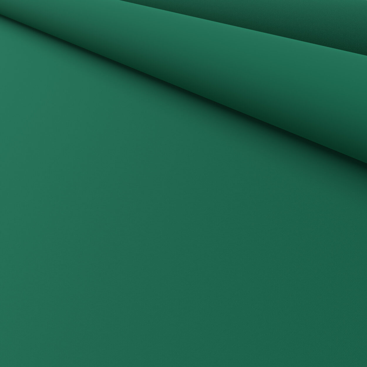 TwistFit Bella Cacti - Image 6