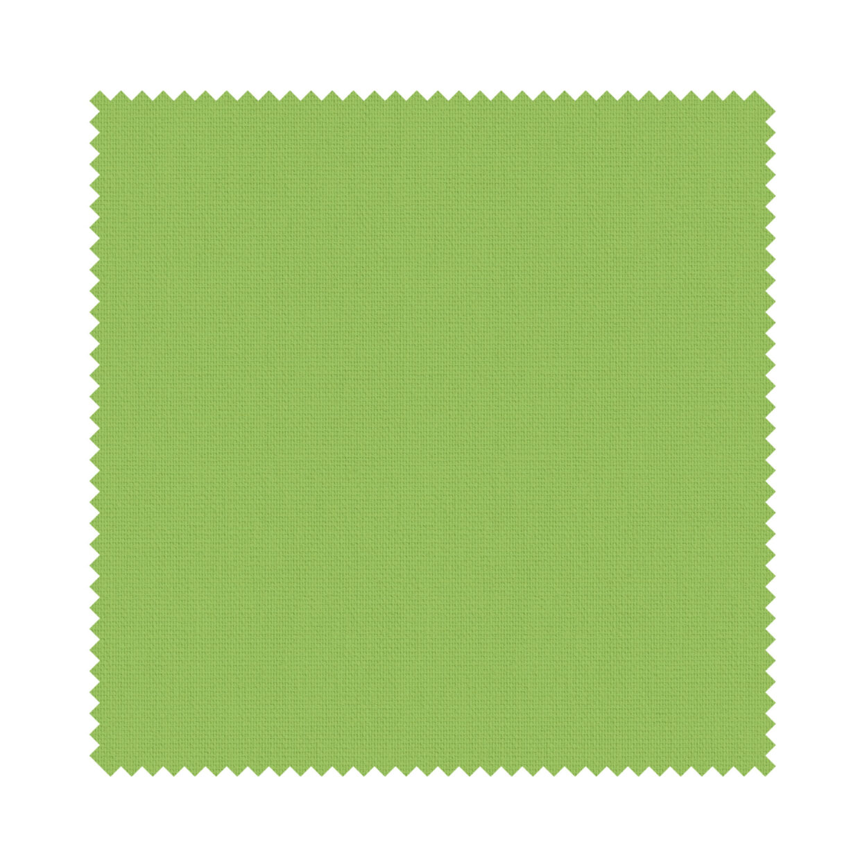 Unishade Kiwi - Image 6
