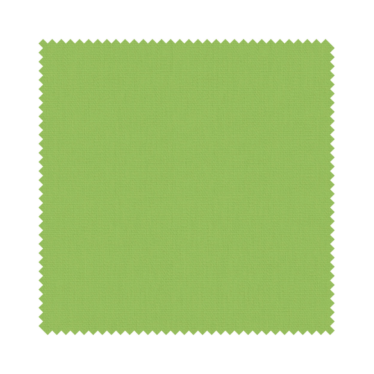 Unishade Kiwi Cassette Motorised - Image 6