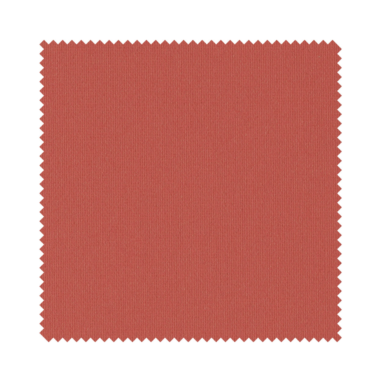 Unity Rose - Image 6