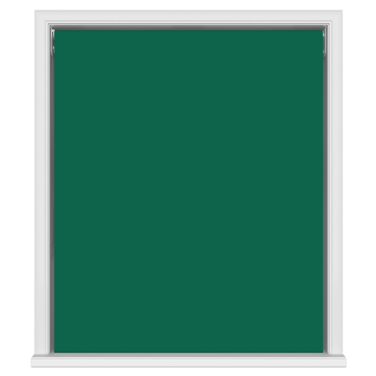 Bella Cacti Double Roller Blind - Image 2
