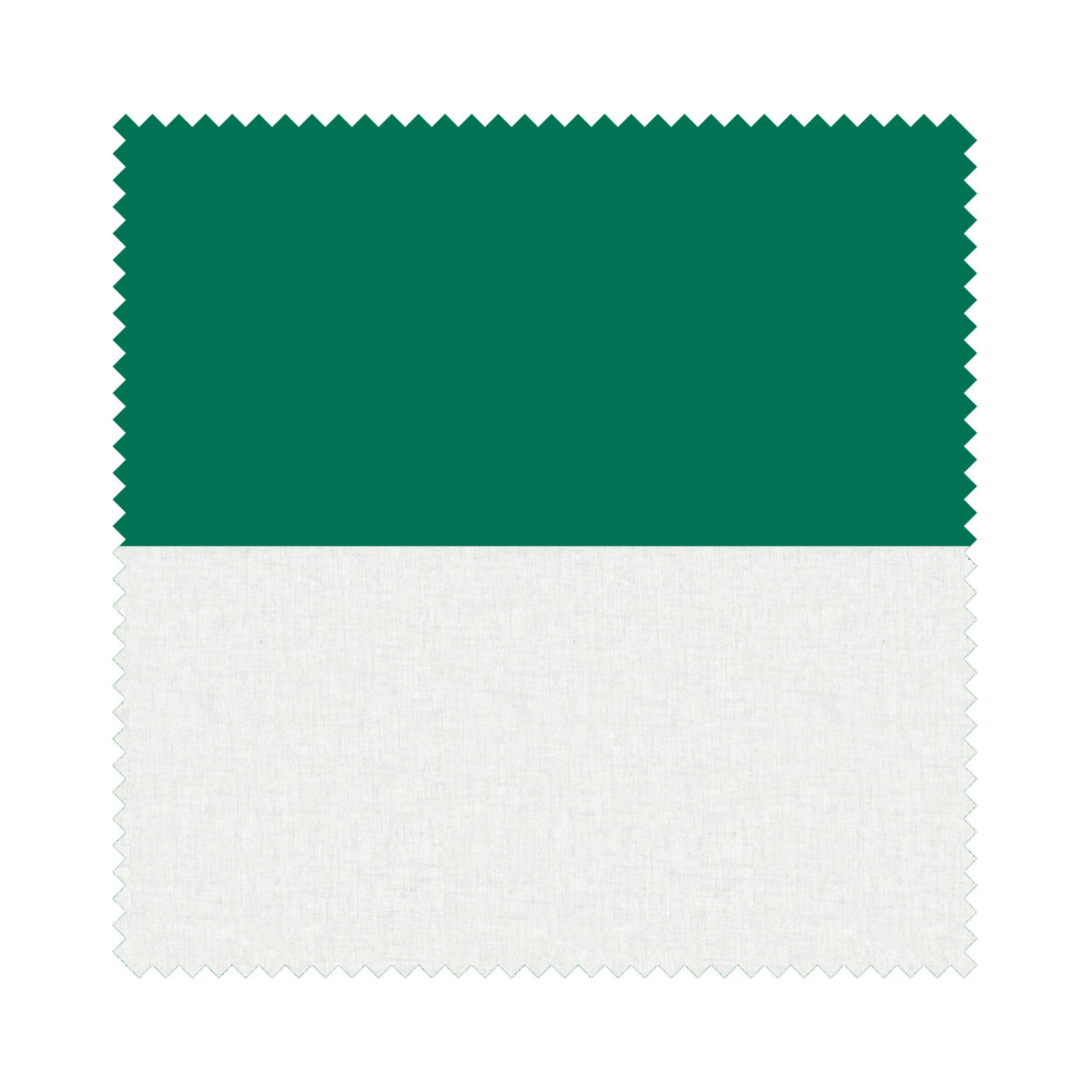 Bella Cacti Double Roller Blind - Image 7