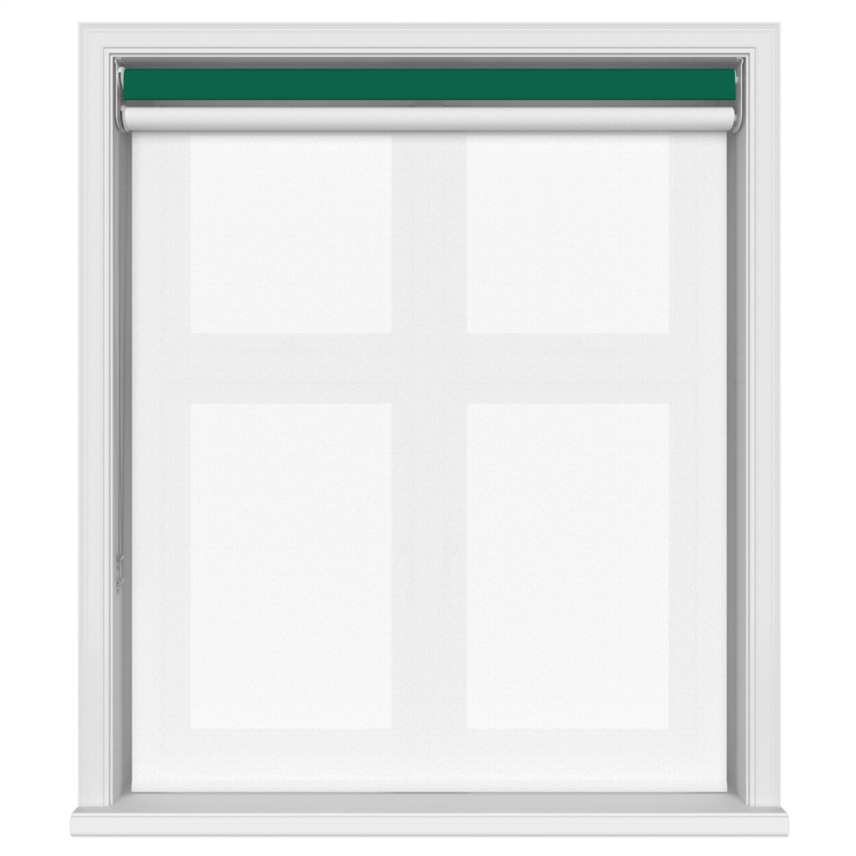 Bella Cacti Double Roller Blind - Image 3