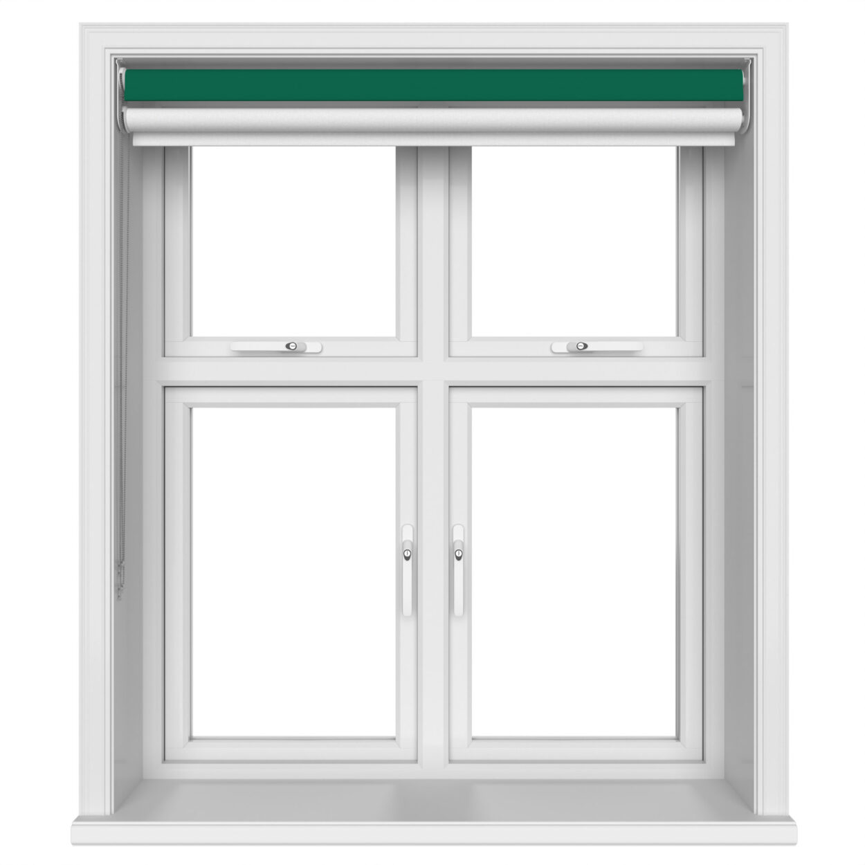 Bella Cacti Double Roller Blind - Image 4