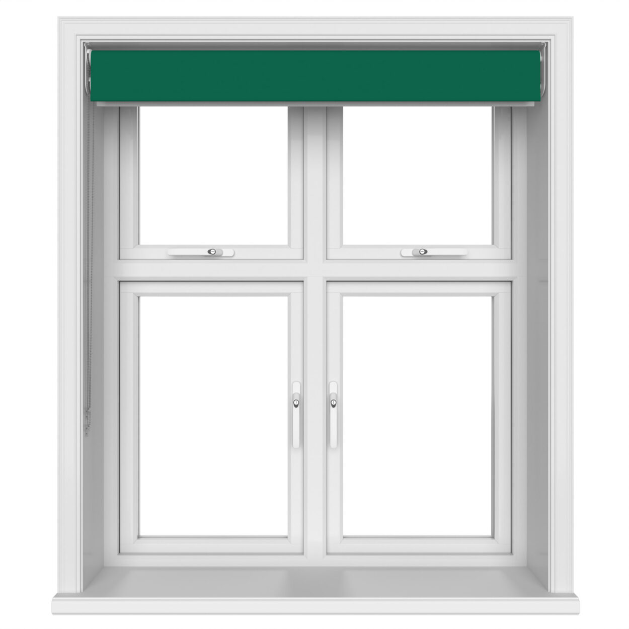 Bella Cacti Double Roller Blind - Image 5