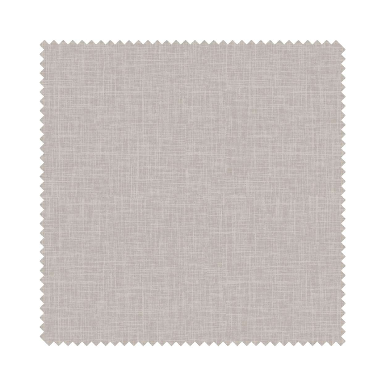 Sora Truffle - Image 6