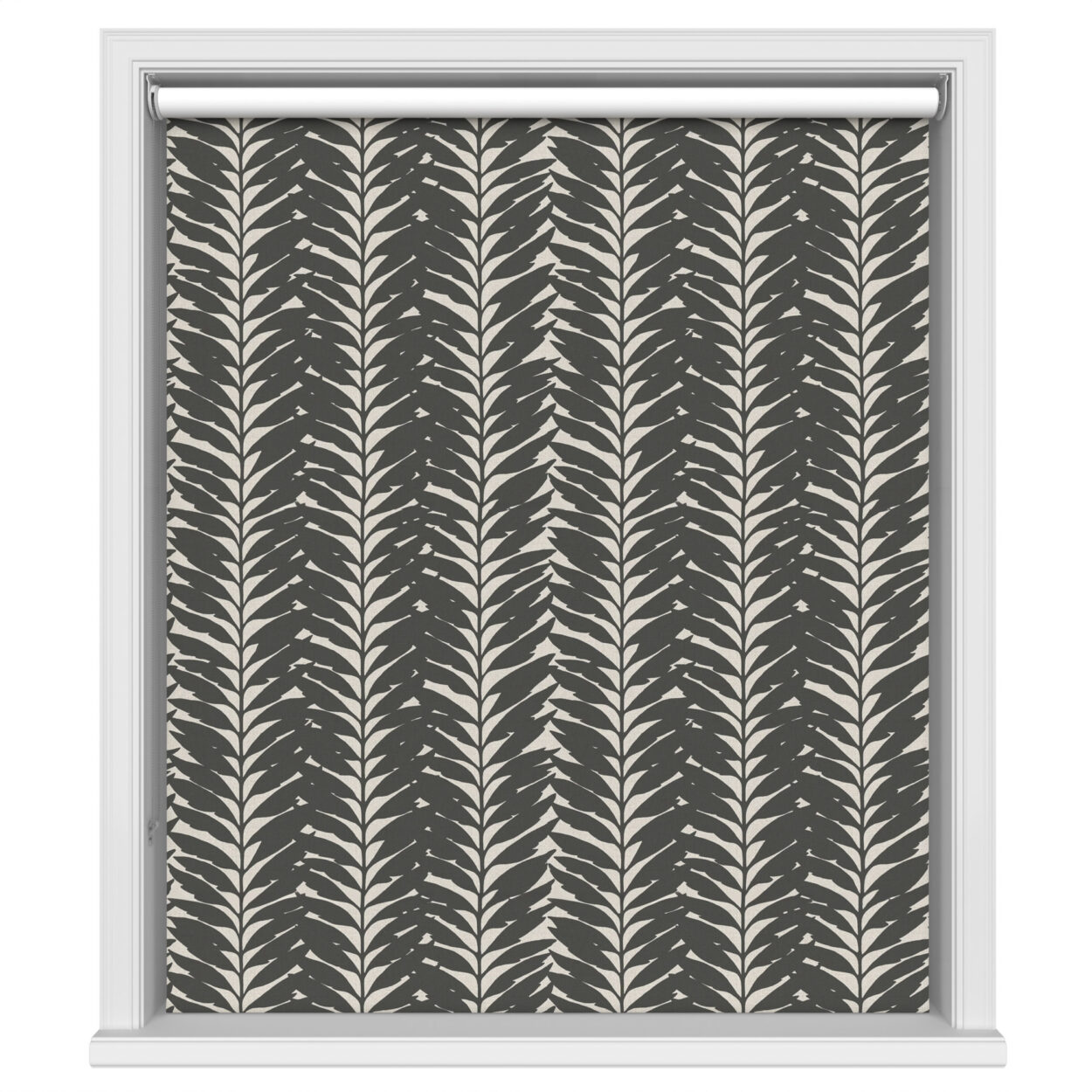 Acacia Ebony Blackout - Image 2