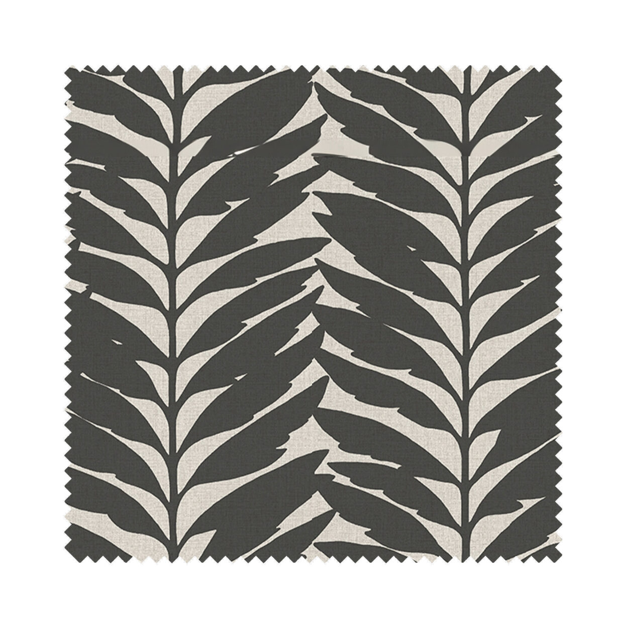 Acacia Ebony Blackout Motorised - Image 6