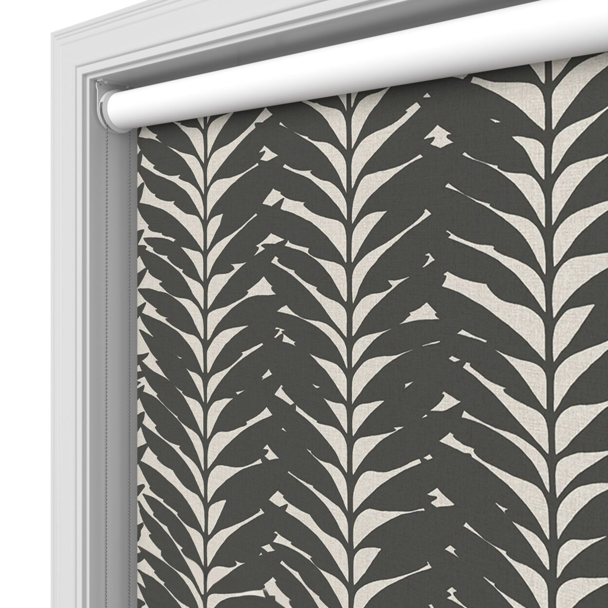 Acacia Ebony Blackout - Image 4
