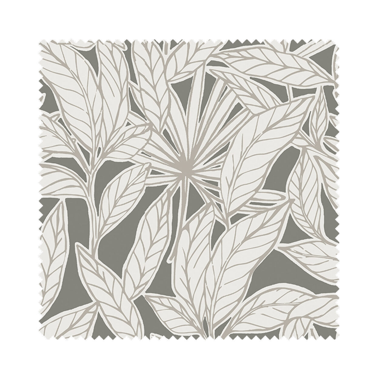 Fiji Slate Cassette - Image 6