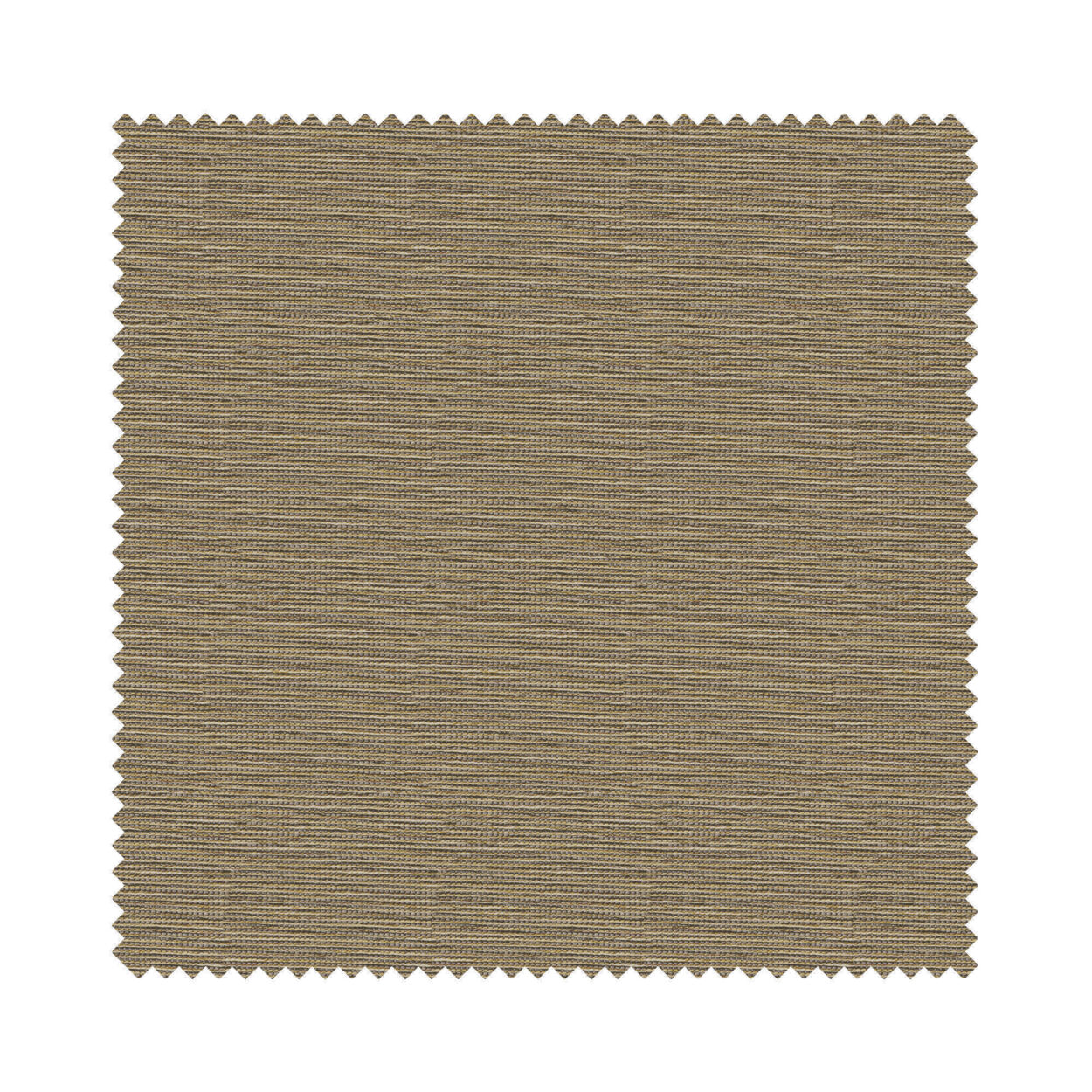 Hampton Beach Cove Cassette - Image 6