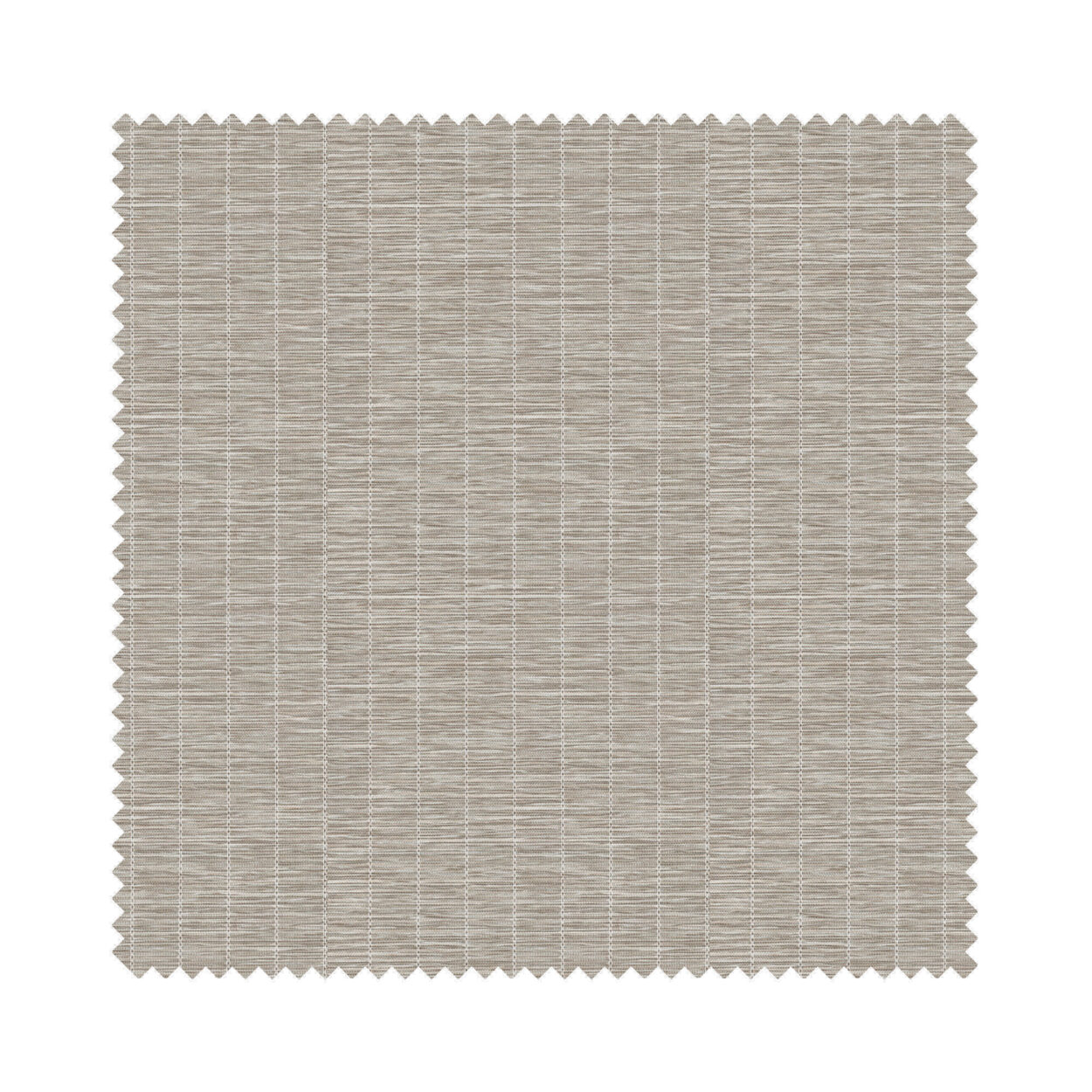 Montego Mushroom - Image 6