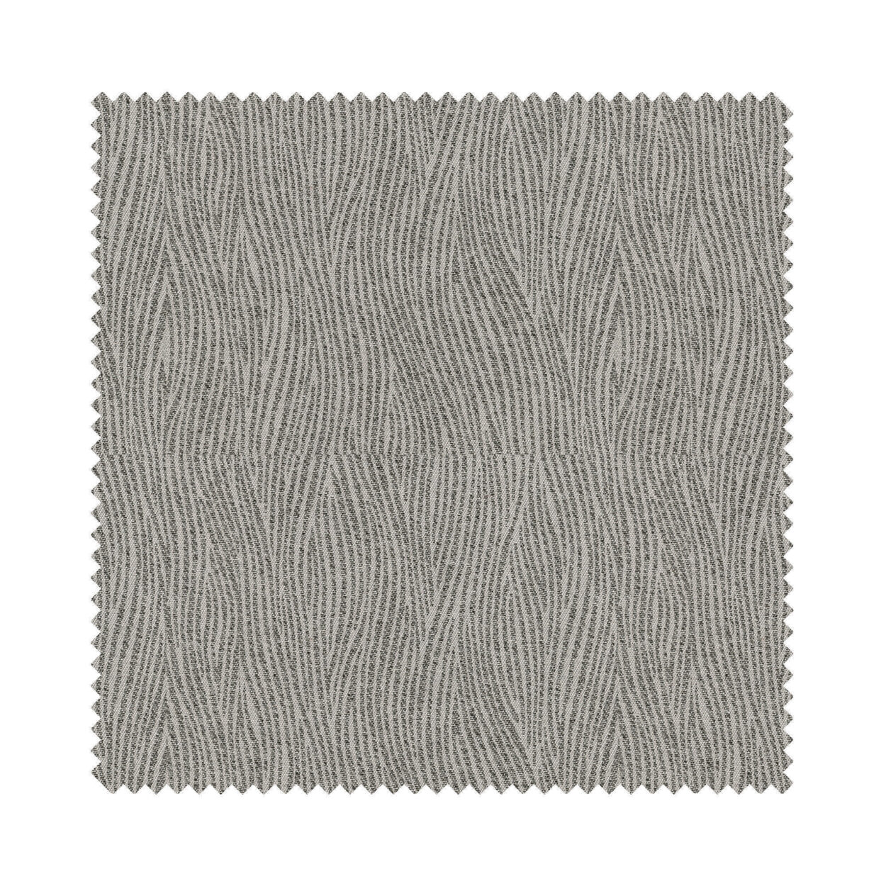 Savanna Blackout Zebra - Image 4