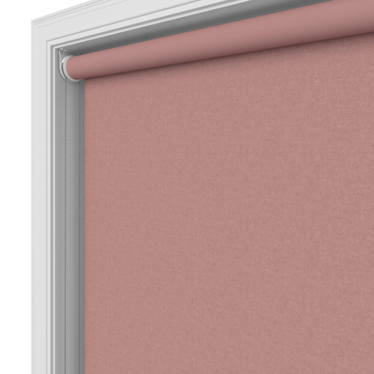Windsor Blush - Image 4