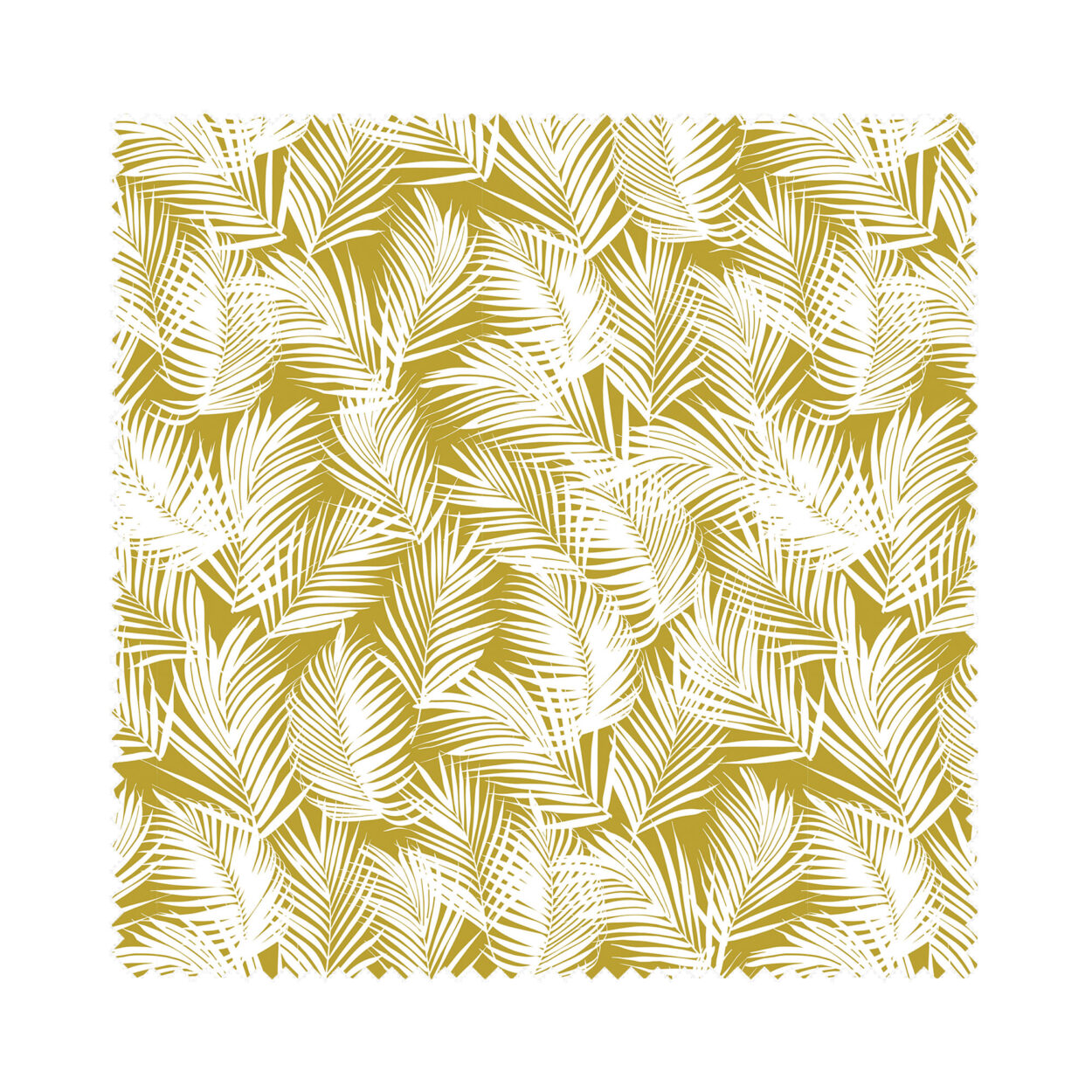 Kashi Lima Cassette - Image 6