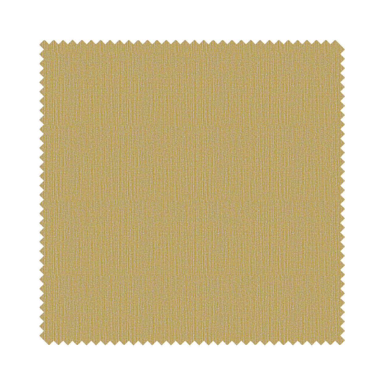 Odin Solas - Image 5