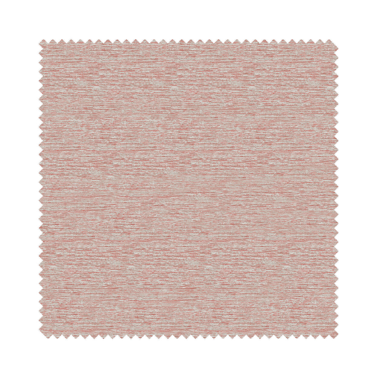 Renzo Heat - Image 6