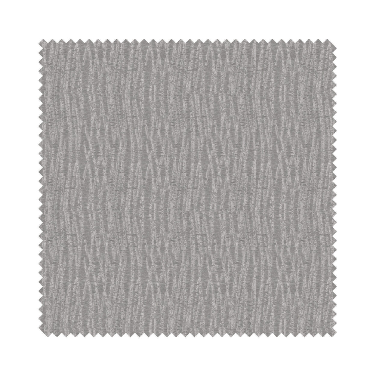 Vivi Senator - Image 5