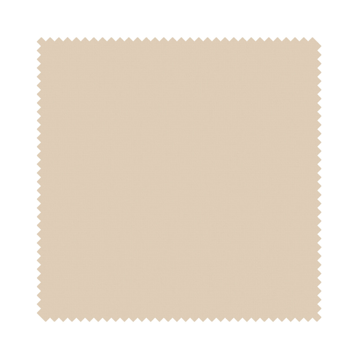Splash Cashew - Image 5