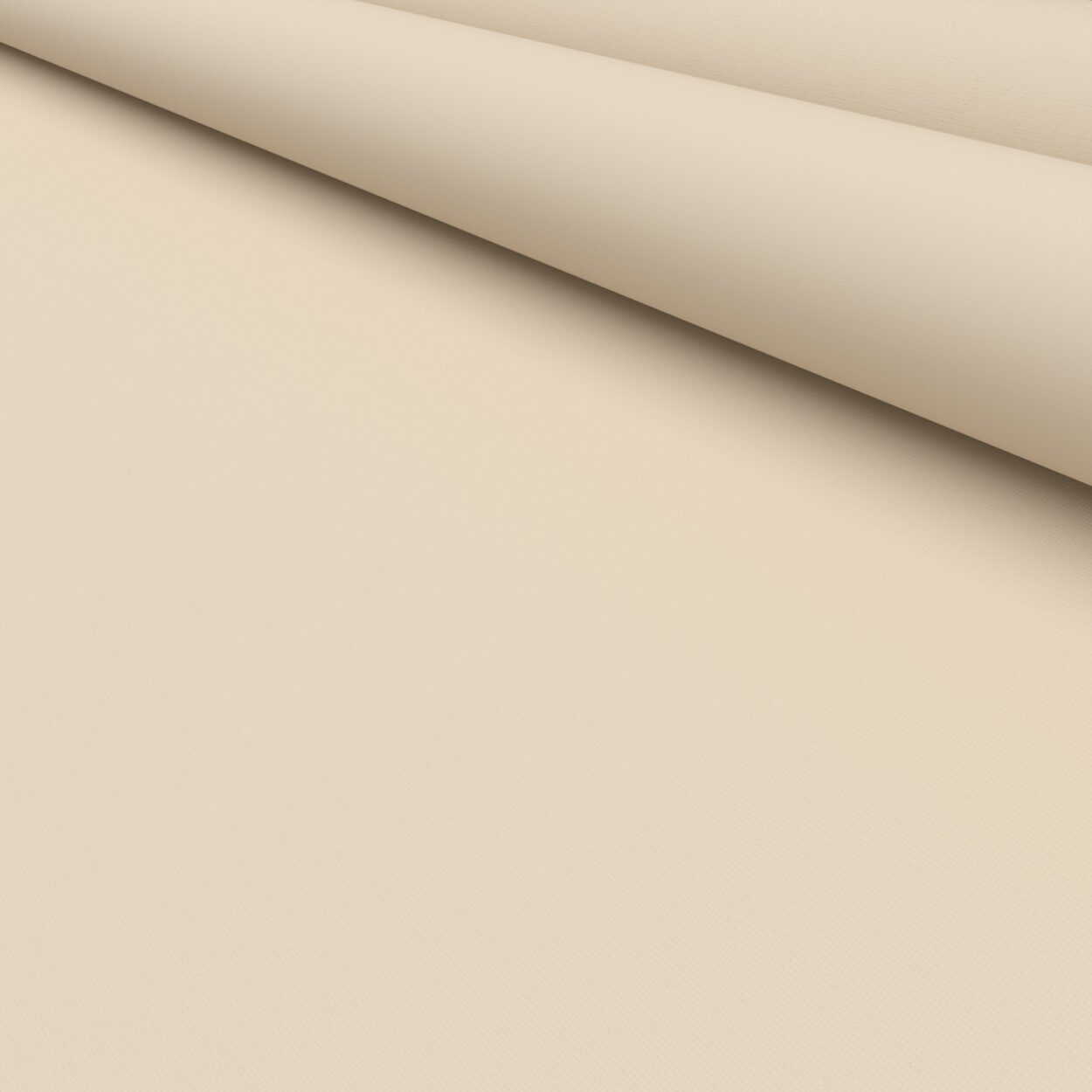 Splash Cashew - Image 5