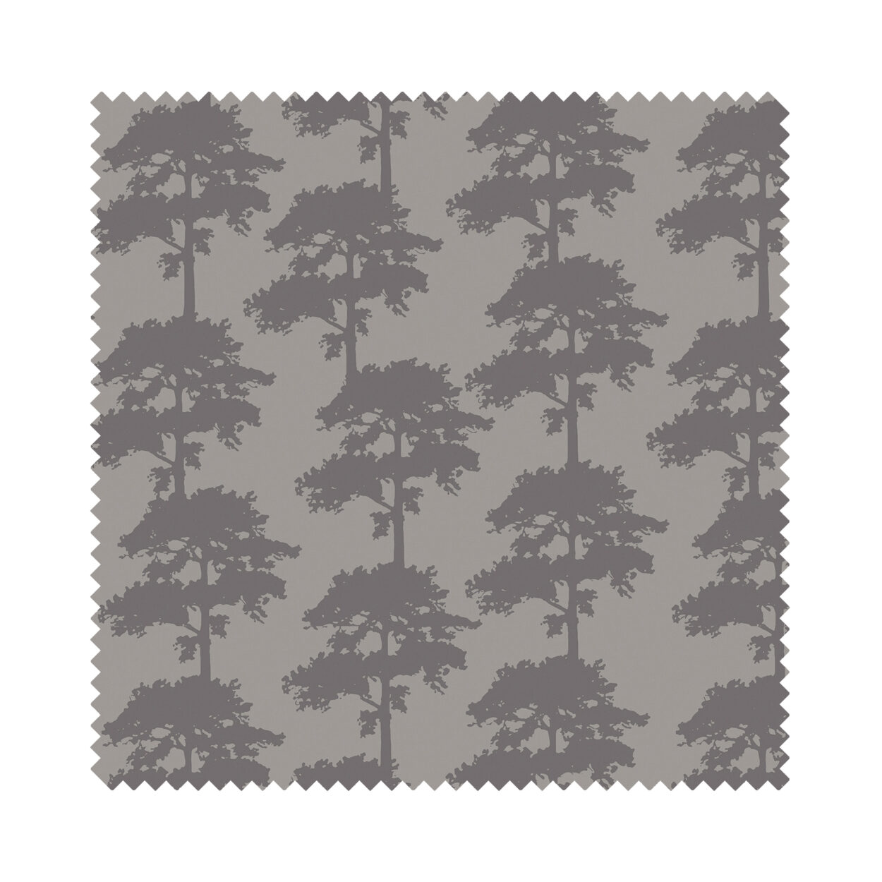 Ella Blackout Aspin Cassette - Image 6