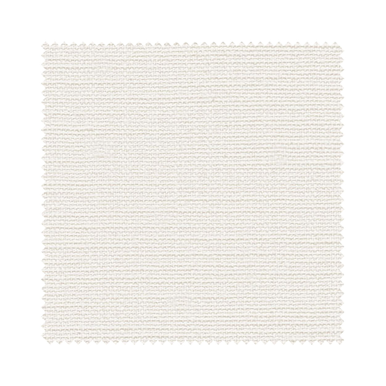 Vermont Cotton - Image 6