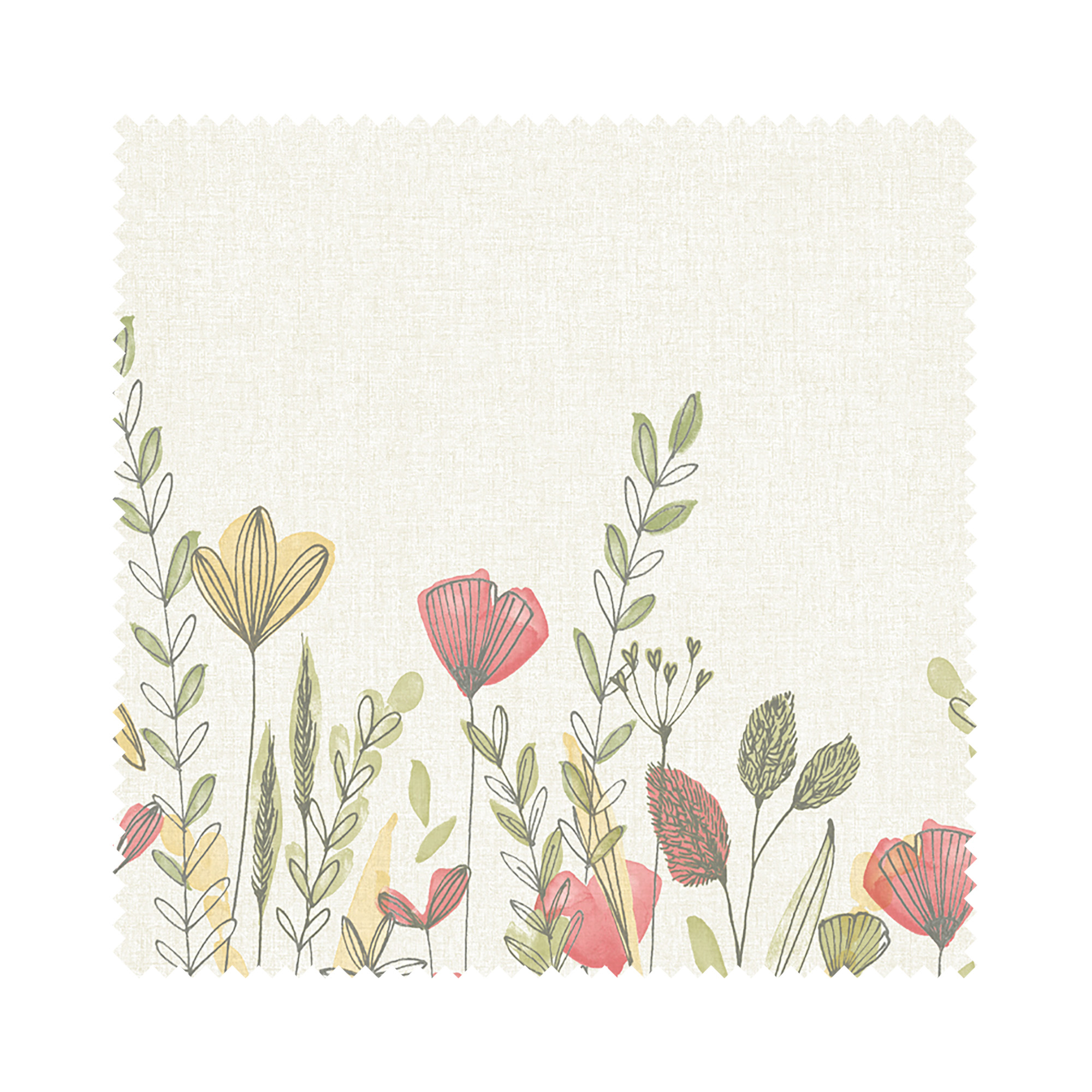 Wild Garden Poppy - Image 6