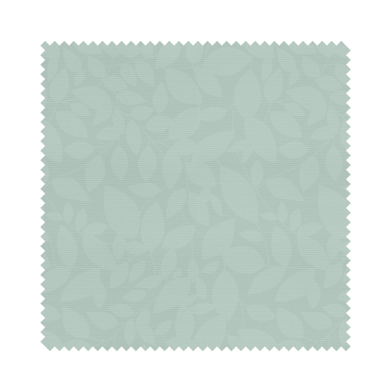 Isla Aloe - Image 6