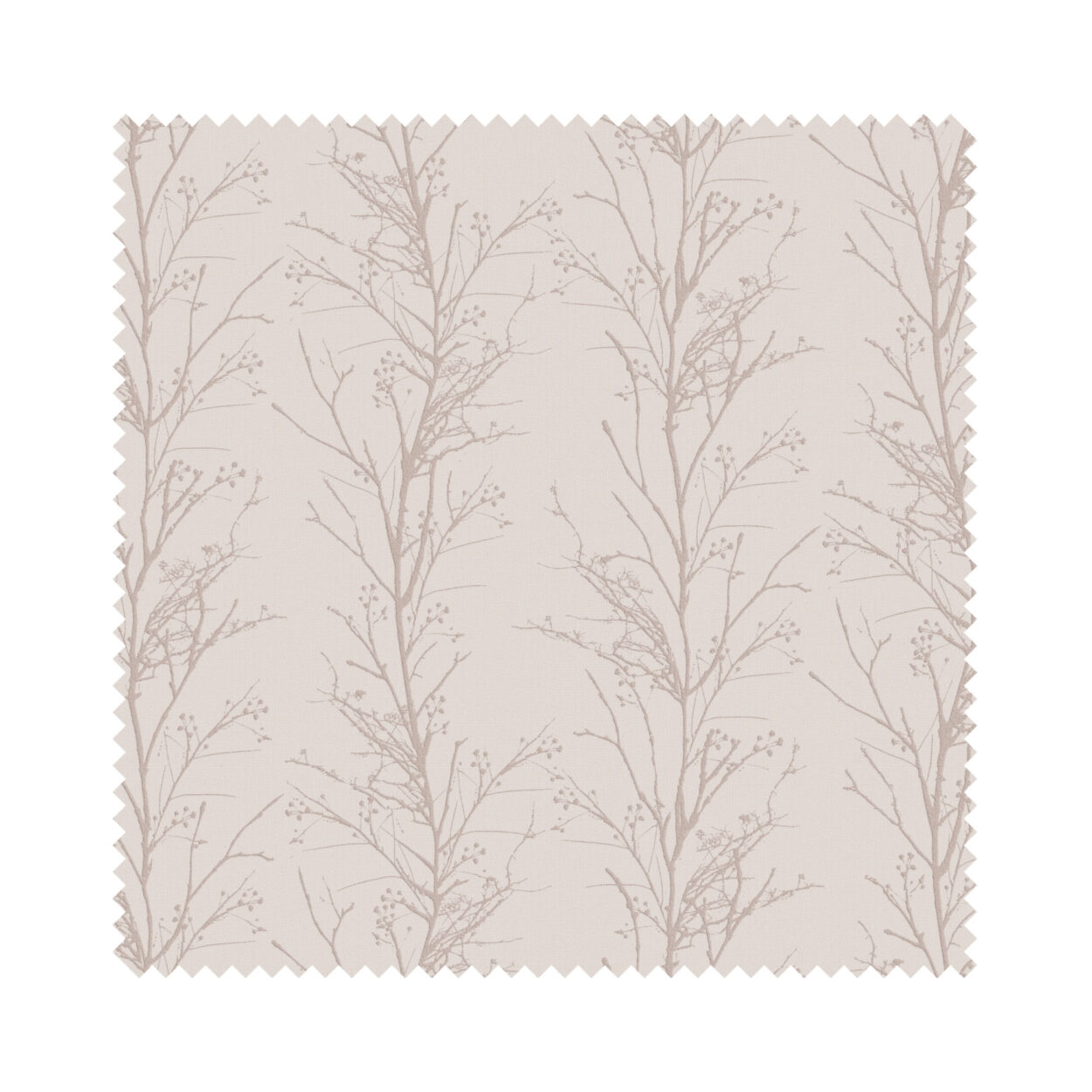 Treviso Pomelo - Image 6