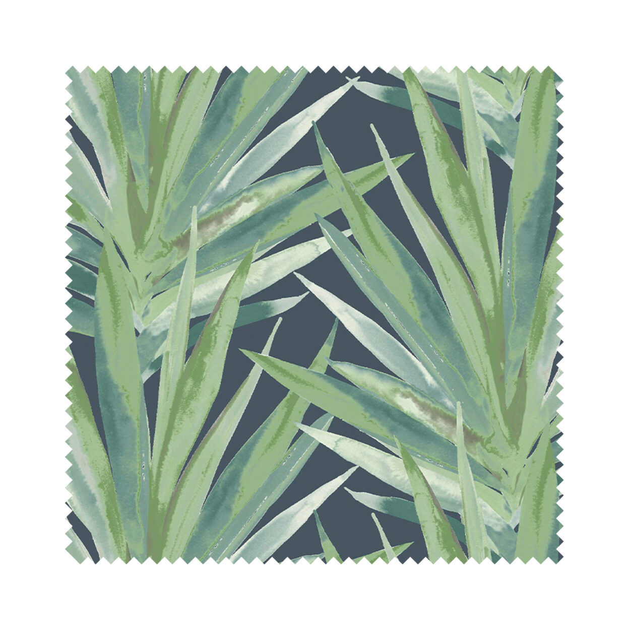 Tropic Rumba - Image 6
