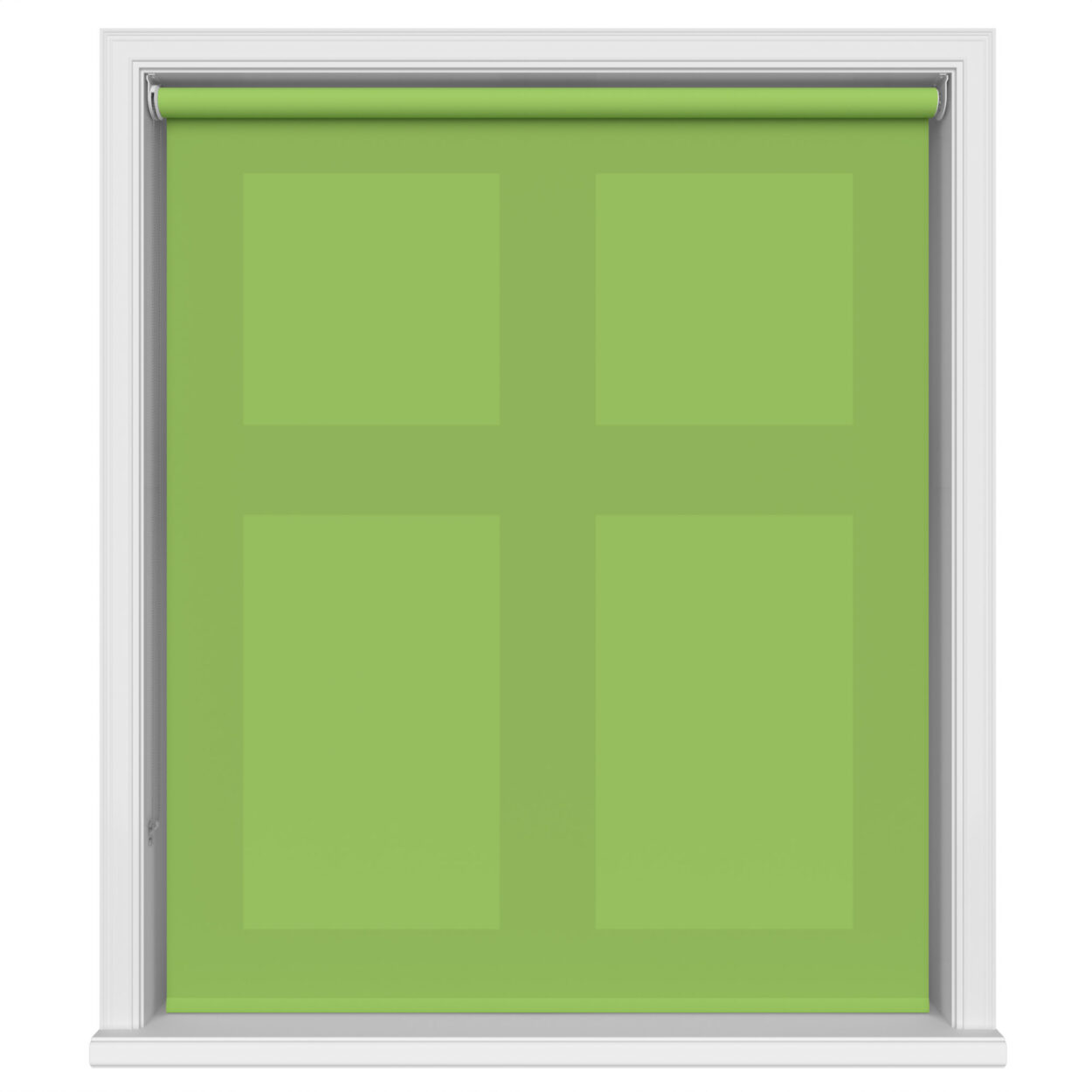 Unicolour Kiwi - Image 2