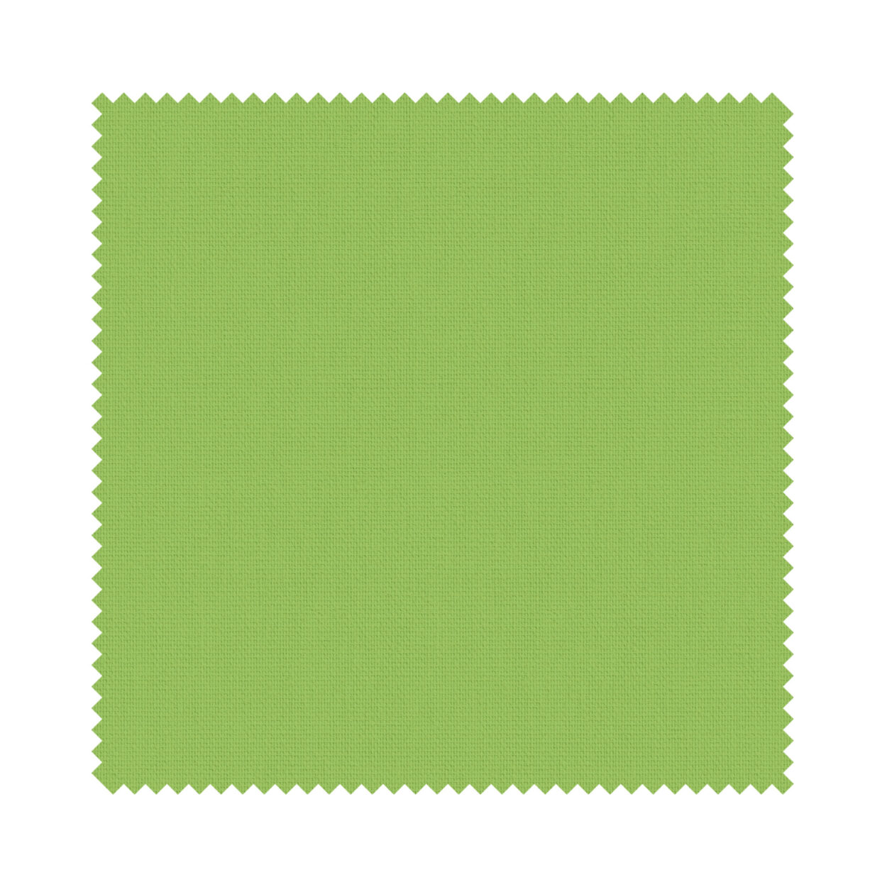 Unicolour Kiwi - Image 6
