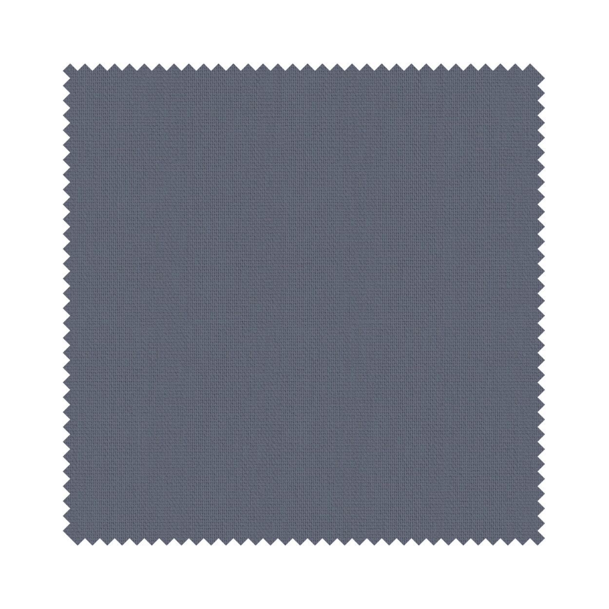 Bella Midnight - Image 6