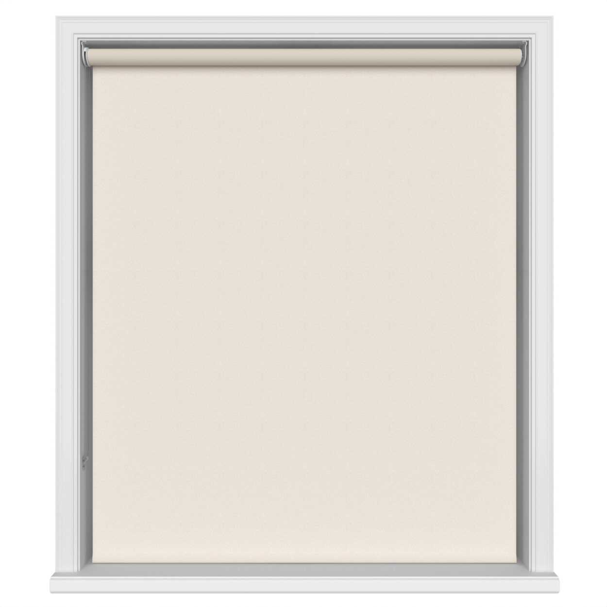 Glimpse Oyster - Image 2
