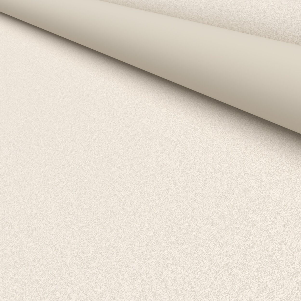 Glimpse Oyster - Image 5