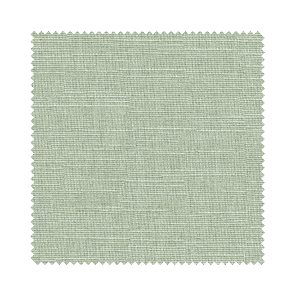 Hayworth Fern - Image 6