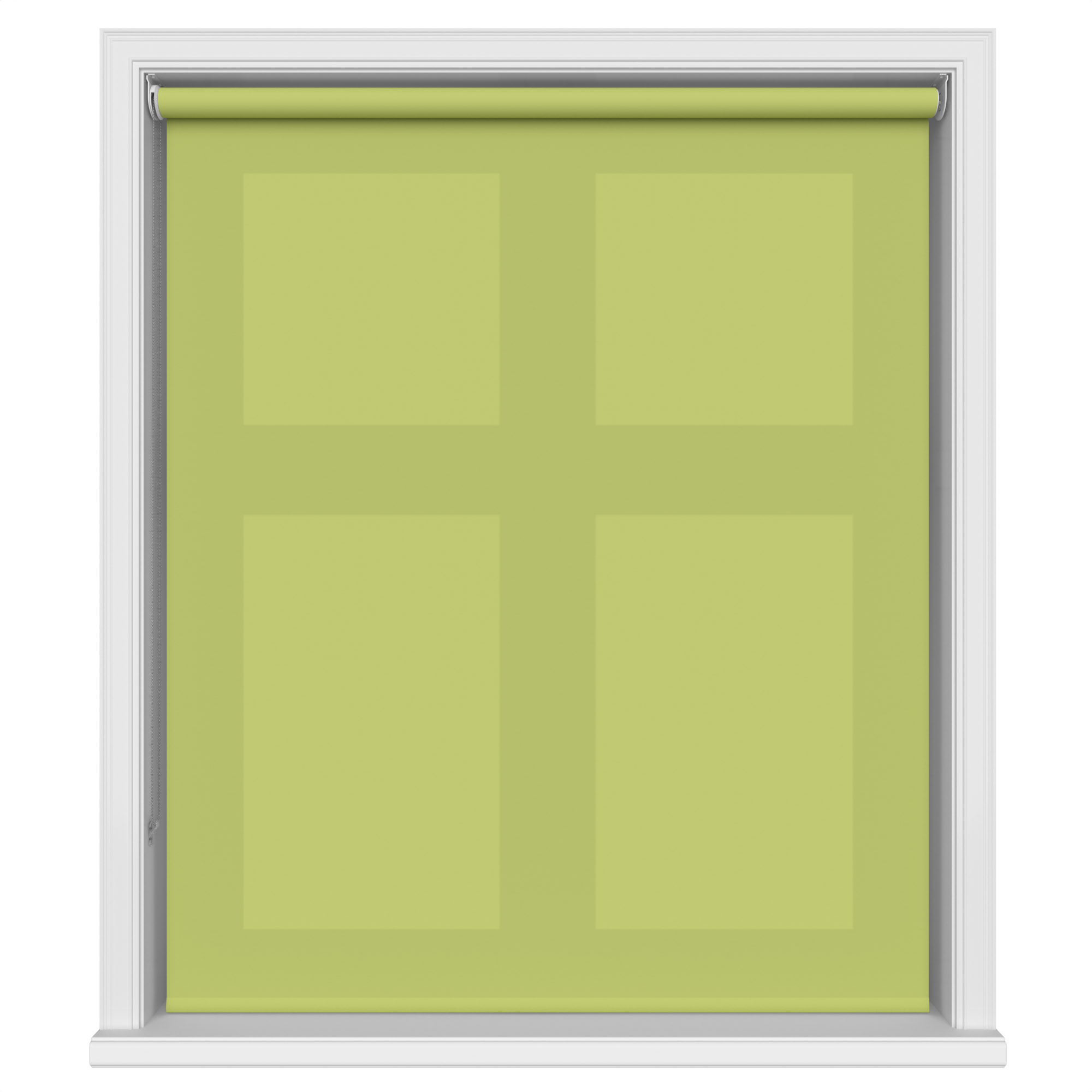 Carnival Kiwi - Image 2