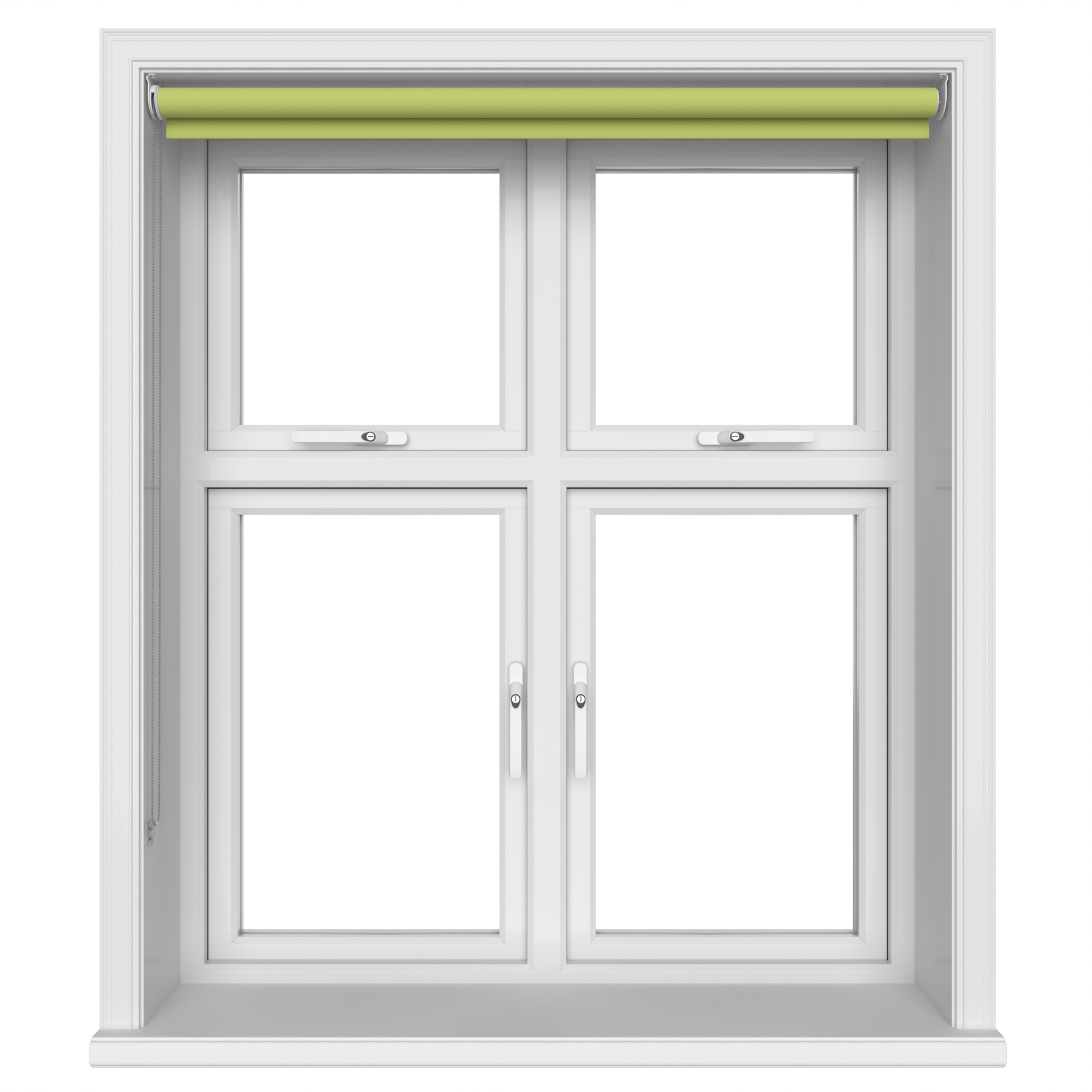 Carnival Kiwi - Image 3