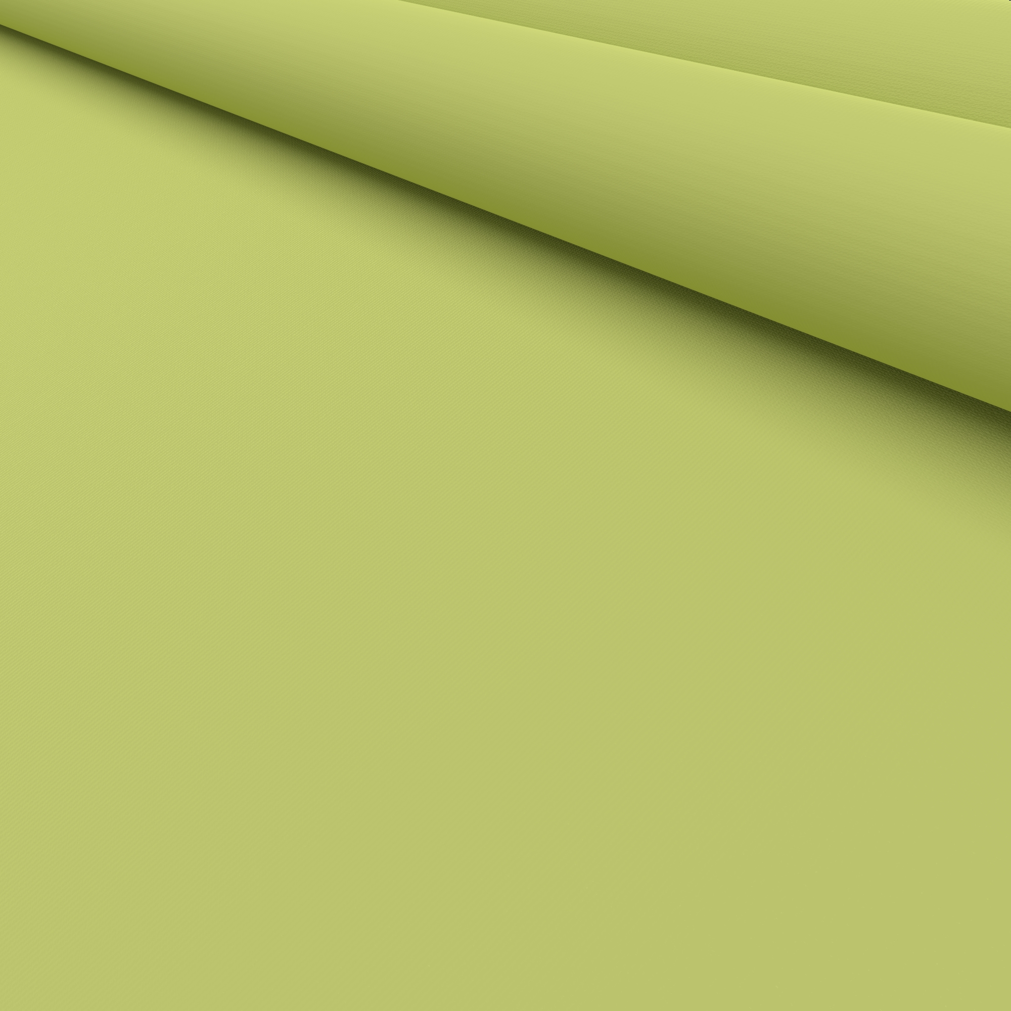 Carnival Kiwi - Image 5