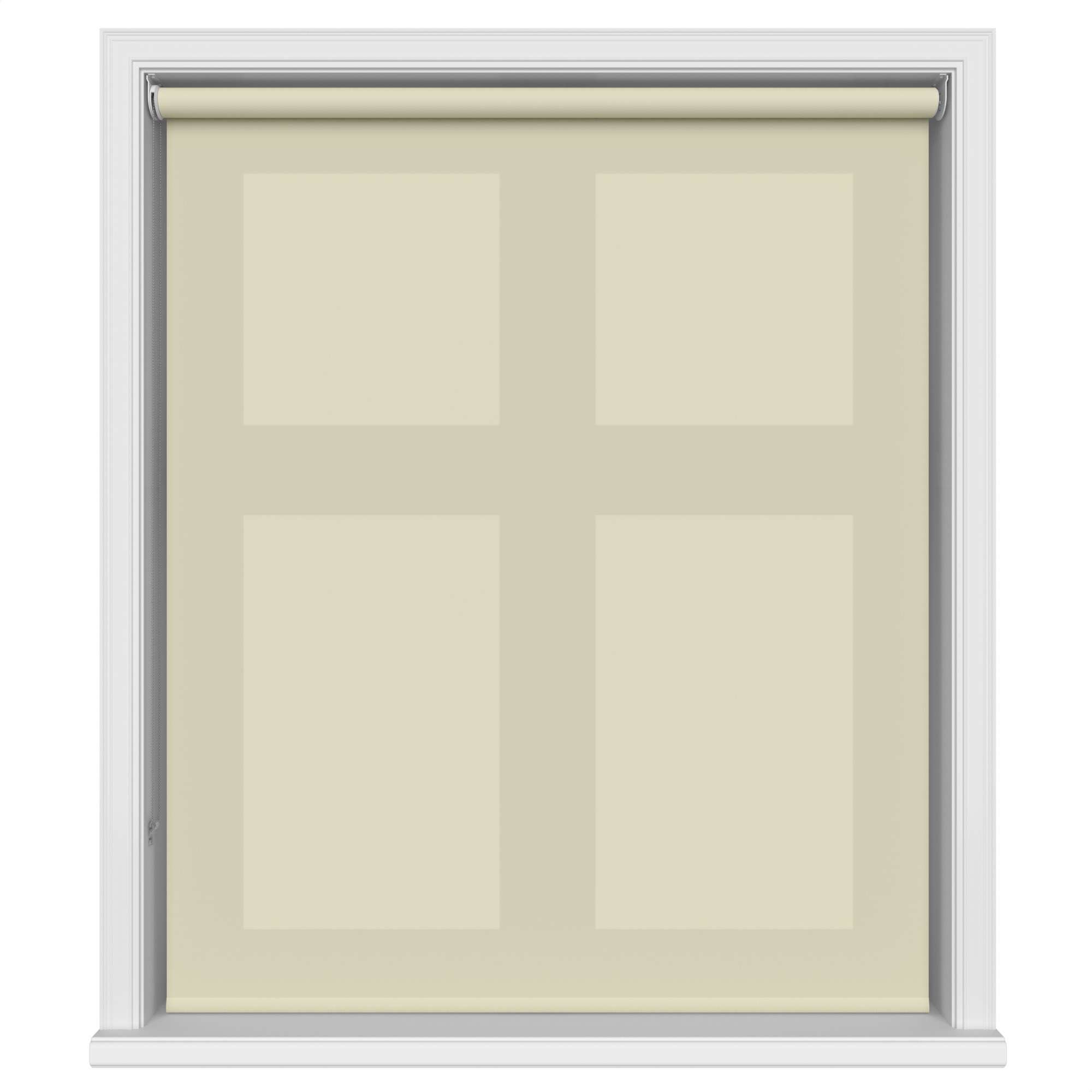 Carnival Willow - Image 2