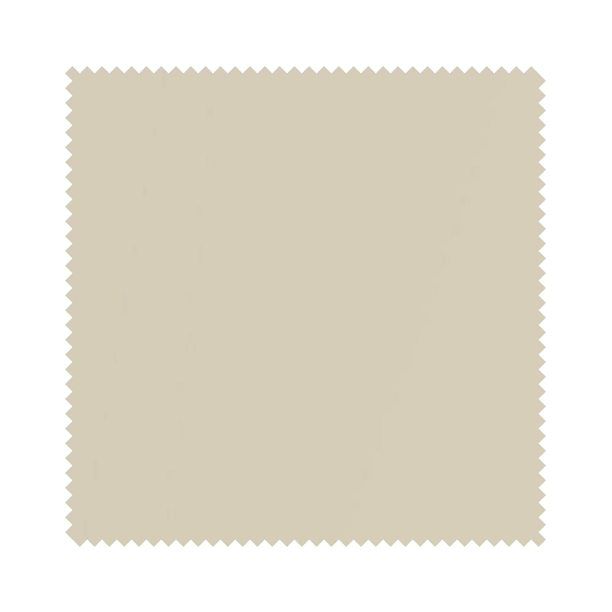 Carnival Willow - Image 6