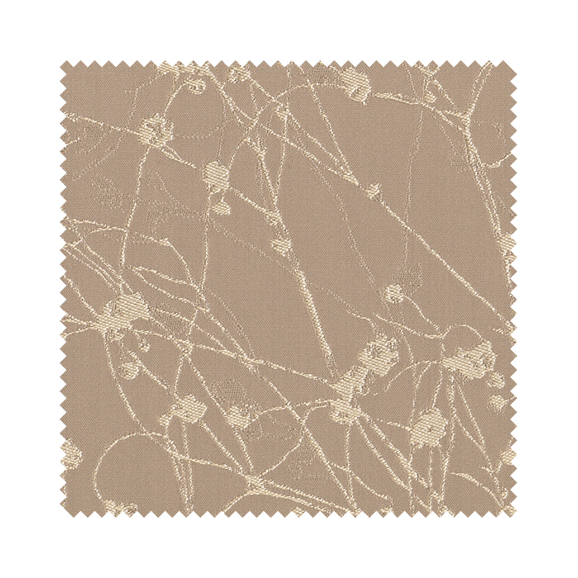 Collina Champagne Fizz Cassette - Image 6