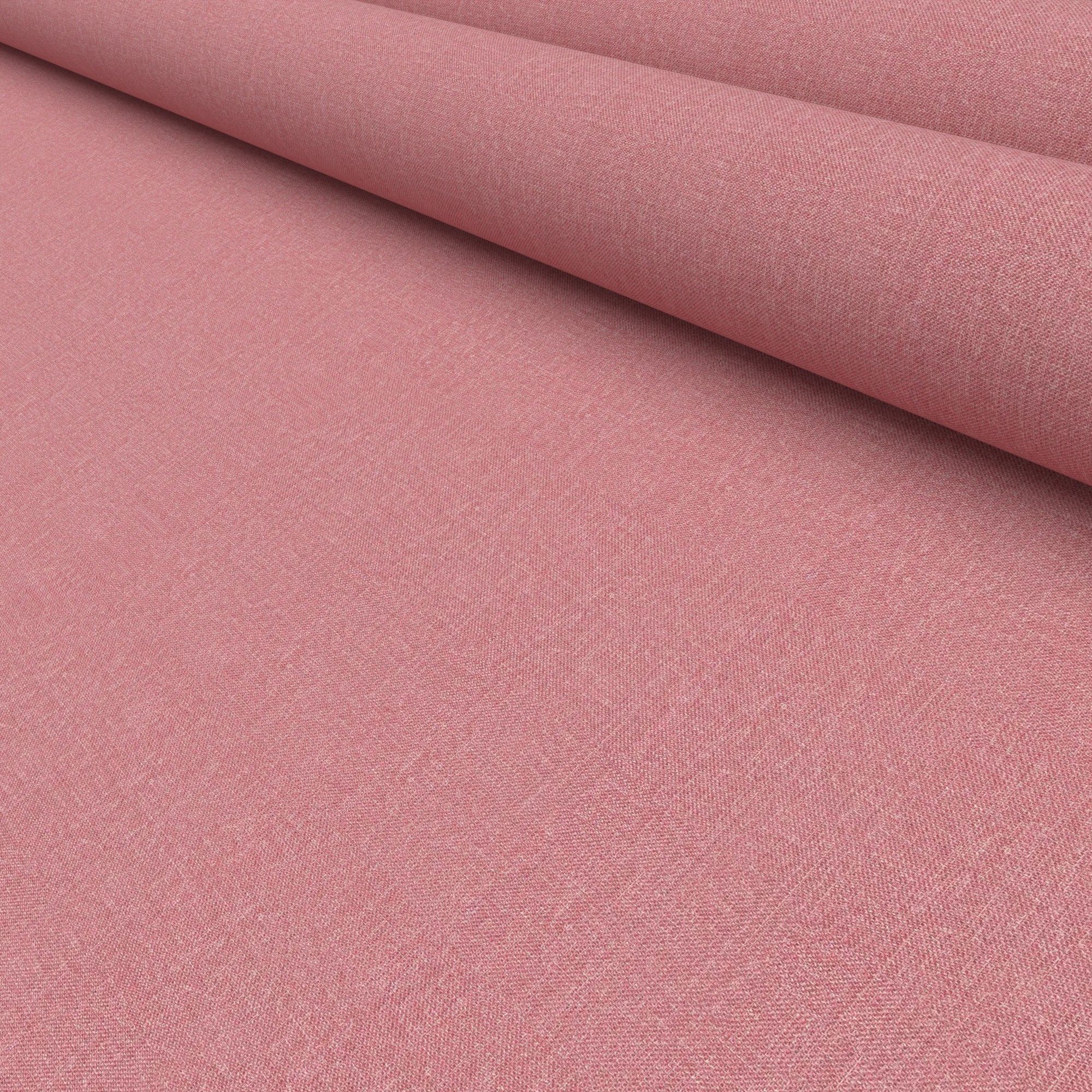 Henlow Chilli - Image 5