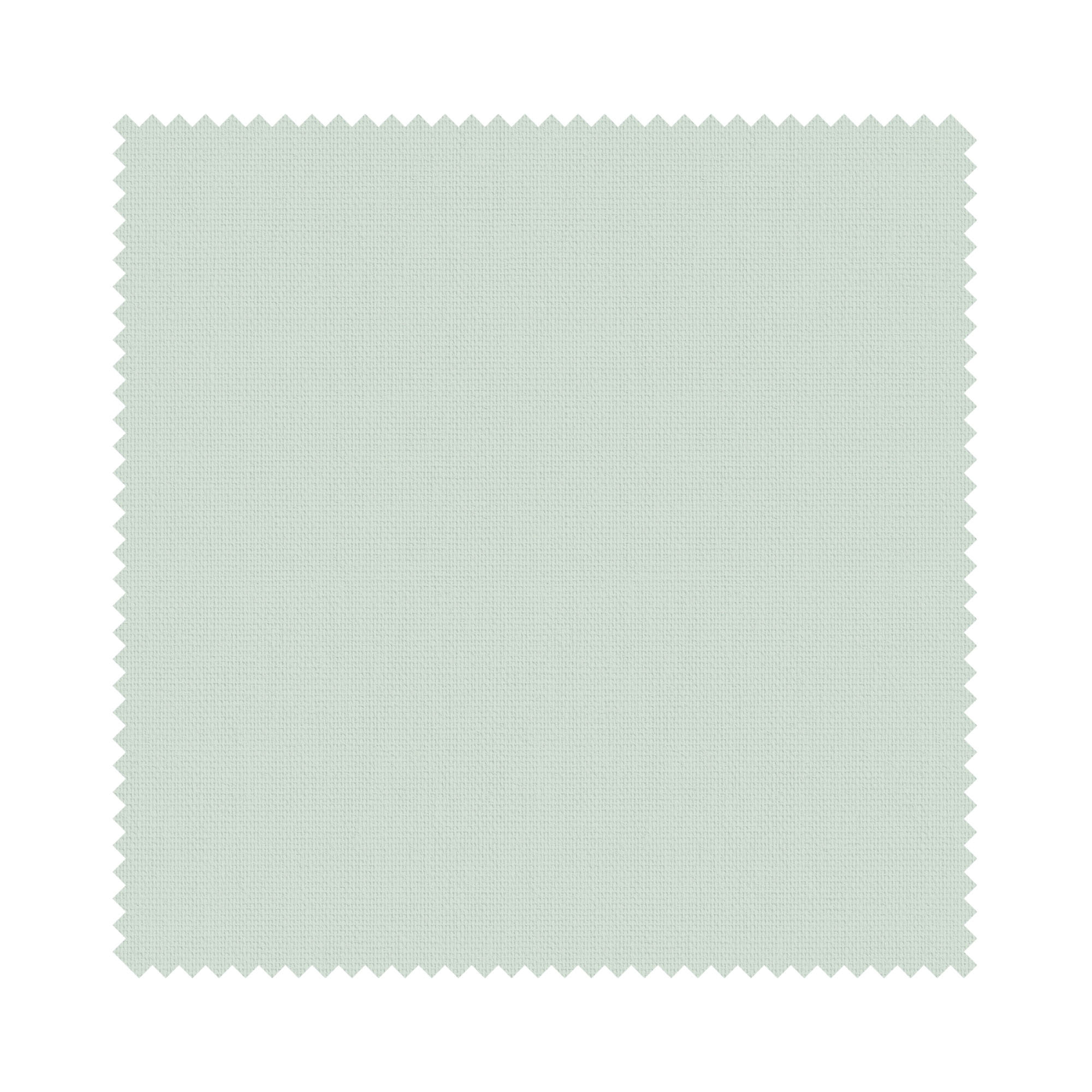 Splash Duck Egg - Image 6