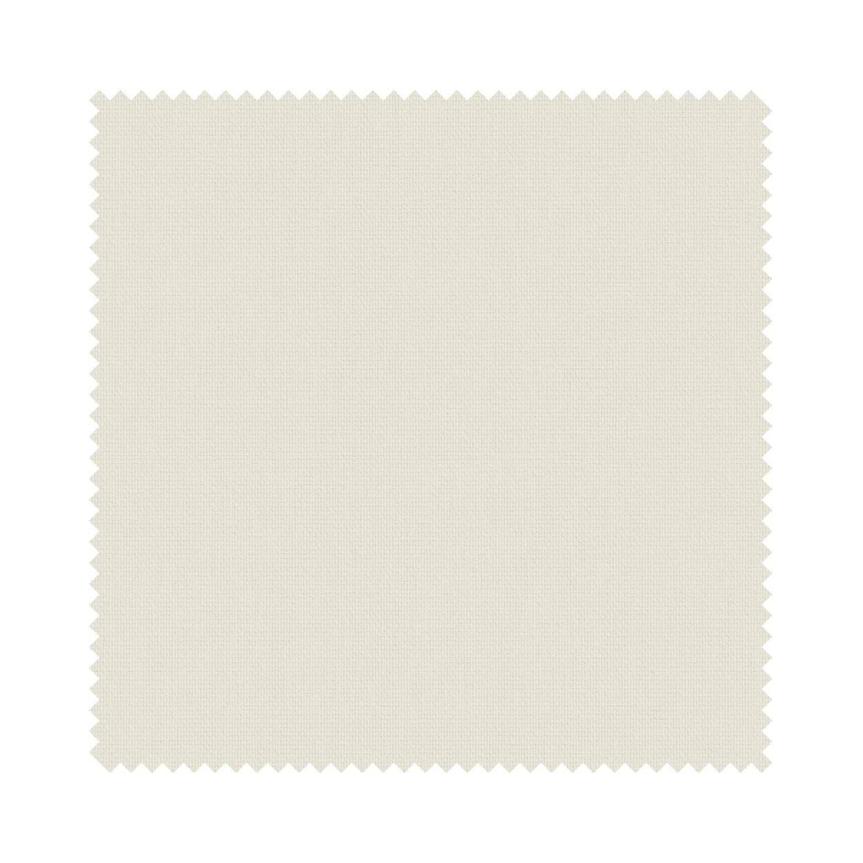 Splash Oyster - Image 6