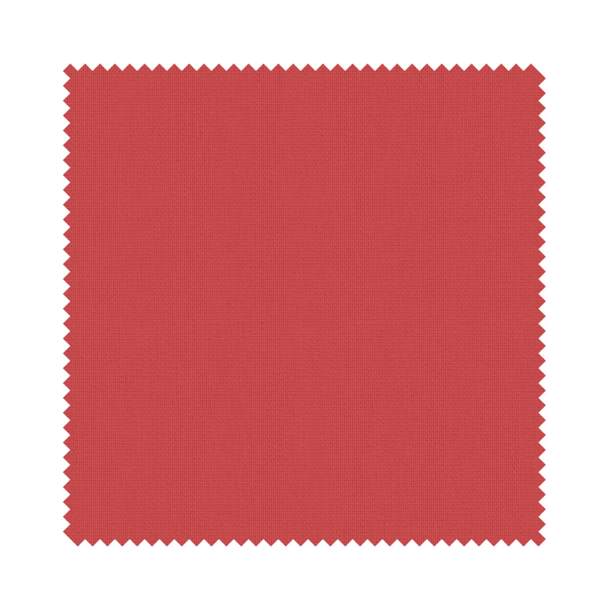 Splash Scarlett - Image 6