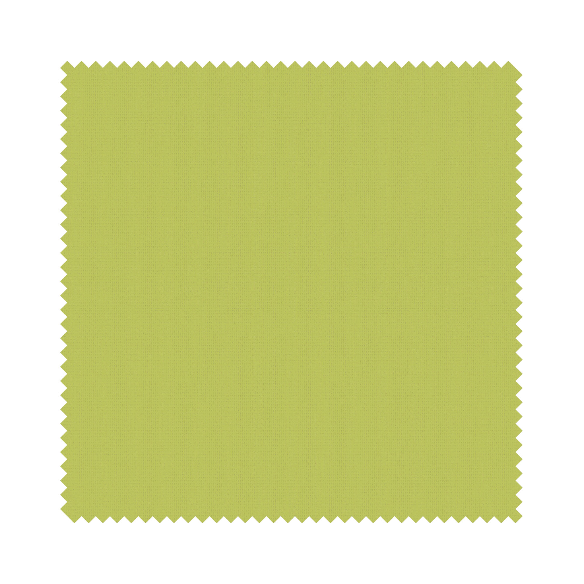 Splash Vine - Image 6